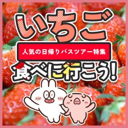 いちご狩り日帰りバスツアー特集