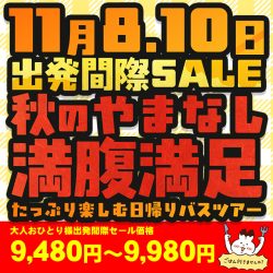 ≪出発間際セール≫【山梨】秋のやまなし満腹満足大満喫！日帰りバスツアー