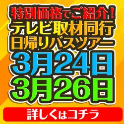 《3月24日（火）・26日（木）出発》テレビ取材同行の為、特別価格で緊急募集！