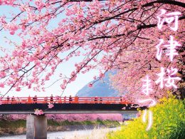 一足早く春を告げる「河津桜まつり」心ときめく春旅へ♪
甘い香りに包まれたあとは、旬真っ盛りの“いちご狩り食べ放題”へ。さらに静岡の美味をぎゅっと詰め込んだ「駿河弁当」。桜・苺・地元グルメ…三拍子そろった、春を丸ごと楽しむ特別な一日へ