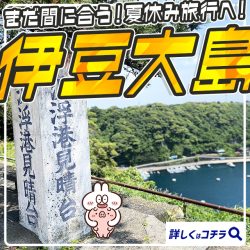 まだ間に合う夏休み旅行!東海汽船に乗って伊豆大島旅行に行こう。