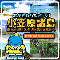 おがさわら丸で行く小笠原ツアー特集（世界自然遺産の島）