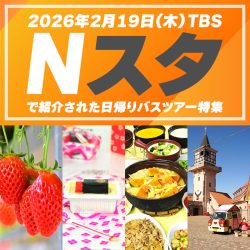 TBS Nスタにて「人気の日帰りバスツアー」が紹介されました!