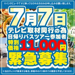 《7月7日（火）出発》テレビ取材同行の為、特別価格で緊急募集！