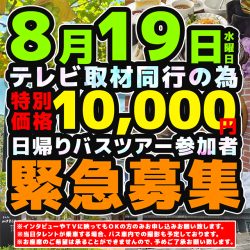 《8月19日（水）出発》テレビ取材同行の為、特別価格で緊急募集！