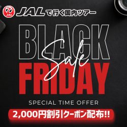 ブラックフライデーセール