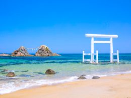 ＜自由に旅する＞JAL往復航空券（福岡空港利用）＋宿泊のみのフリープラン♪福岡県をはじめ、九州7県の複数ホテルより1泊づつ組み合わせOK！九州ホテルチョイス