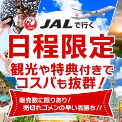 日程限定特集