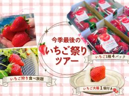 ＼超豪華！栃木いちご決定版／ いちご狩り＆いちご1箱4パック＆いちご大福付のスペシャル企画！
4月がちょうど見頃♪「天平の丘公園」でお花見も満喫！売り切れ御免、予約はお早めに！