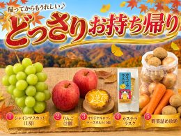 おかげさまでオリオンツアーは50周年！日頃の感謝を込めて“お持ち帰りどっさり”の謝恩ツアーをご用意しました。群馬の旬を味わう『ぐんま名月りんご狩り食べ放題』に『野菜詰め放題』！さらにシャインマスカットやりんごなど、両手いっぱいの豪華なお持ち帰り付き！大きめの袋をご持参のうえ、ワクワク気分でご参加ください♪