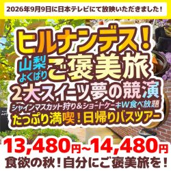 日本テレビ|ヒルナンデス!で紹介された日帰りバスツアー特集