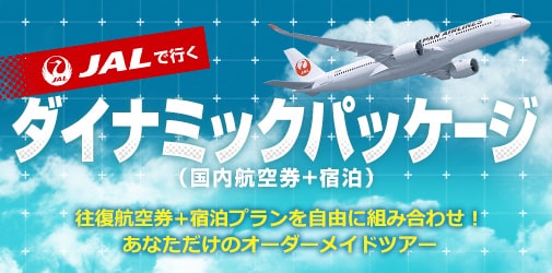 ダイナミックパッケージ説明ページ（2カラム）