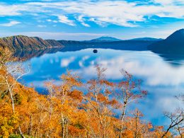 JALで行く！秋旅タイムセール！道東各地のホテルから選択！ひがし北海道チョイス2～5日間