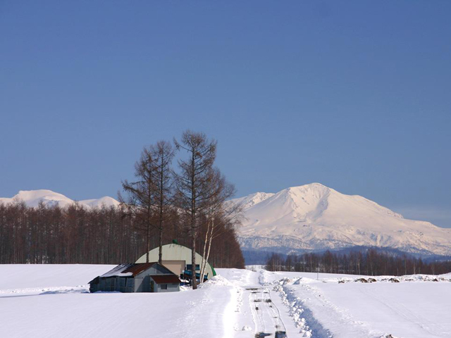 広島発 北海道ツアー 北海道旅行の格安おすすめプラン オリオンツアー