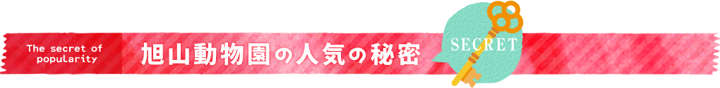 旭山動物園の人気の秘密