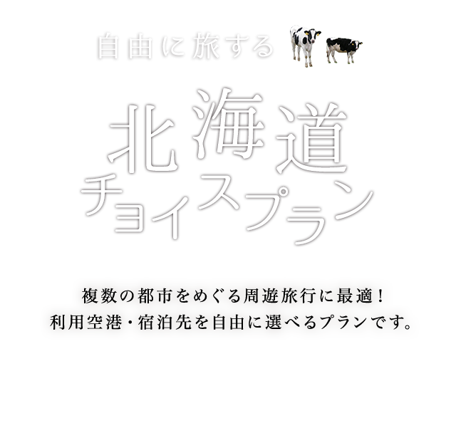 自由に旅する 北海道チョイスプラン 複数の都市をめぐる周遊旅行に最適！ 利用空港・宿泊先を自由に選べるプランです。