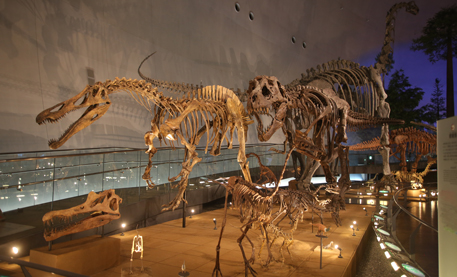 展示室「恐竜の世界」
