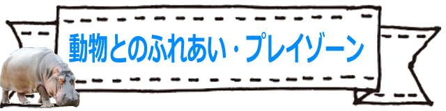 動物とのふれあい・プレイゾーン！