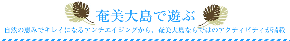 奄美大島で遊ぶ