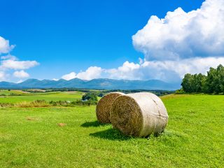 富良野・美瑛