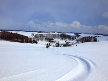 展望花畑 四季彩の丘
