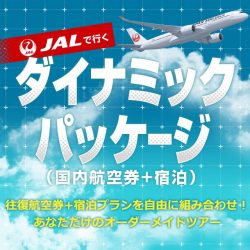 ダイナミックパッケージ説明ページ(1/3カラム)