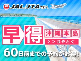 早得60プランでお得に沖縄本島へ