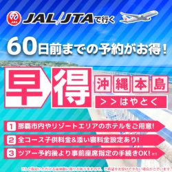 沖縄早割60（1/3カラム）