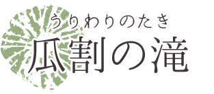 九谷焼・陶芸 豪華絢爛な絵柄が特徴。雅な伝統文化に触れよう