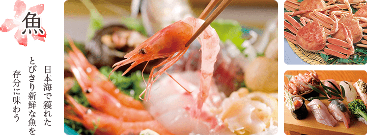 魚 日本海で獲れたとびきり新鮮な魚を存分に味わう