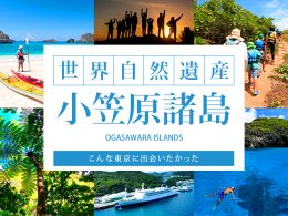 世界自然遺産の島「小笠原諸島」へ行こう！